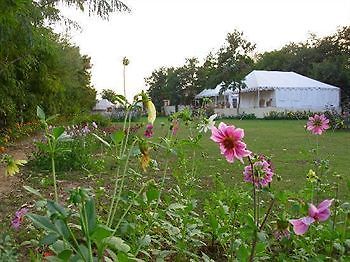 ساواي مادهوبور Jungle View Resort المظهر الخارجي الصورة