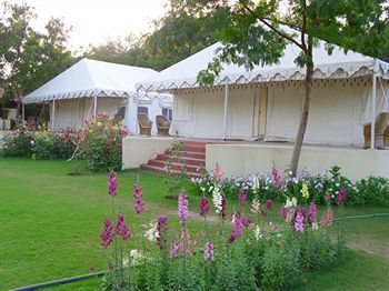 ساواي مادهوبور Jungle View Resort المظهر الخارجي الصورة