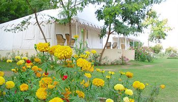 ساواي مادهوبور Jungle View Resort المظهر الخارجي الصورة