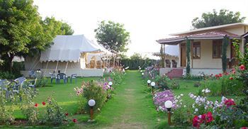 ساواي مادهوبور Jungle View Resort المظهر الخارجي الصورة